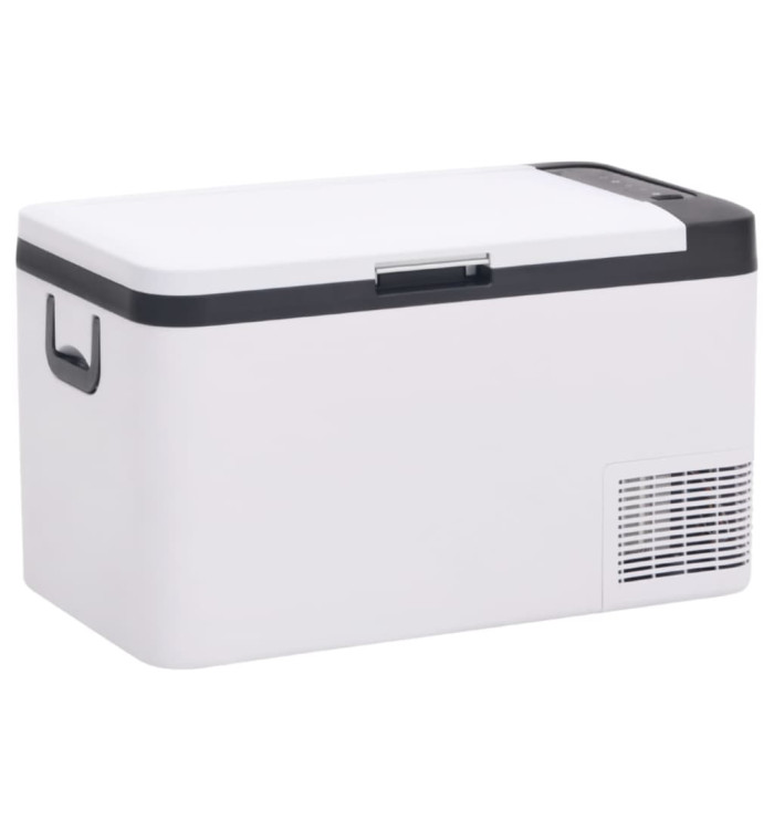 Glacière avec poignée noir et blanc 25 L PP et PE | Mobilier & Déco