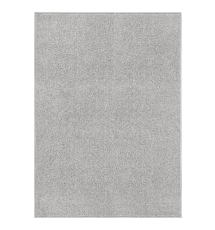 Tapis à poils courts 120x170 cm Gris clair | Mobilier & Déco