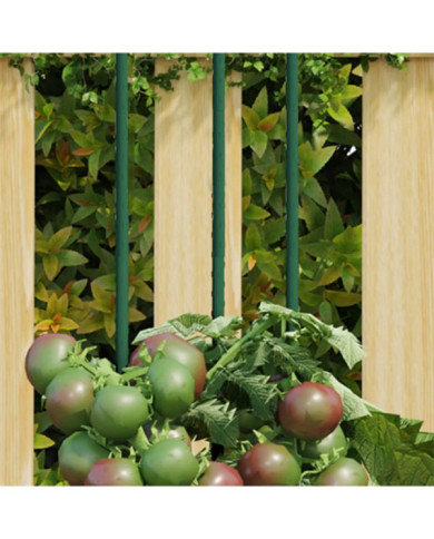 Piquets pour plantes de jardin 30 pcs vert 115 cm acier | Mobilier & Déco