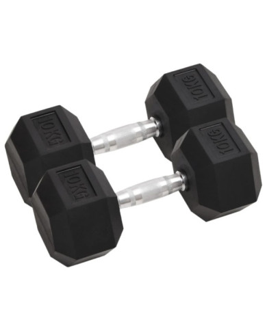 Haltères 2 pcs 20 kg Fonte | Mobilier & Déco