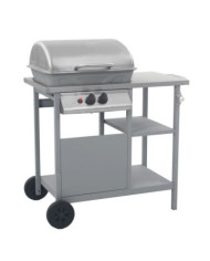 Barbecue à gaz avec tablette à 3 couches Noir et argenté | Mobilier & Déco