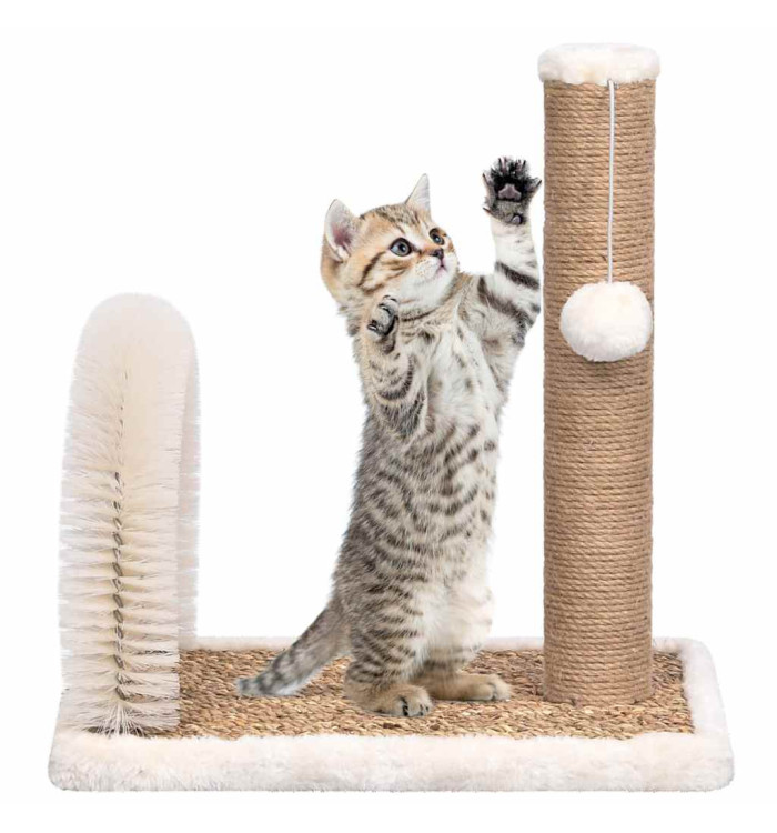 Arbre à chat avec brosse de toilettage en arche et grattoir | Mobilier & Déco