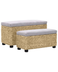 Ensemble de banc lot de 2 Jacinthe d'eau Gris | Mobilier & Déco