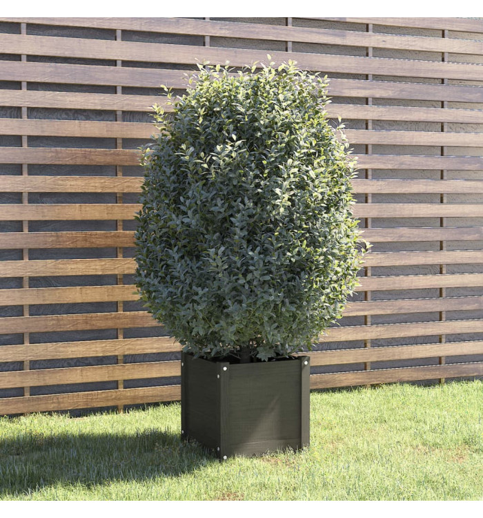 Jardinière Gris 40x40x40 cm Bois de pin massif | Mobilier & Déco