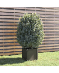 Jardinière Gris 40x40x40 cm Bois de pin massif | Mobilier & Déco