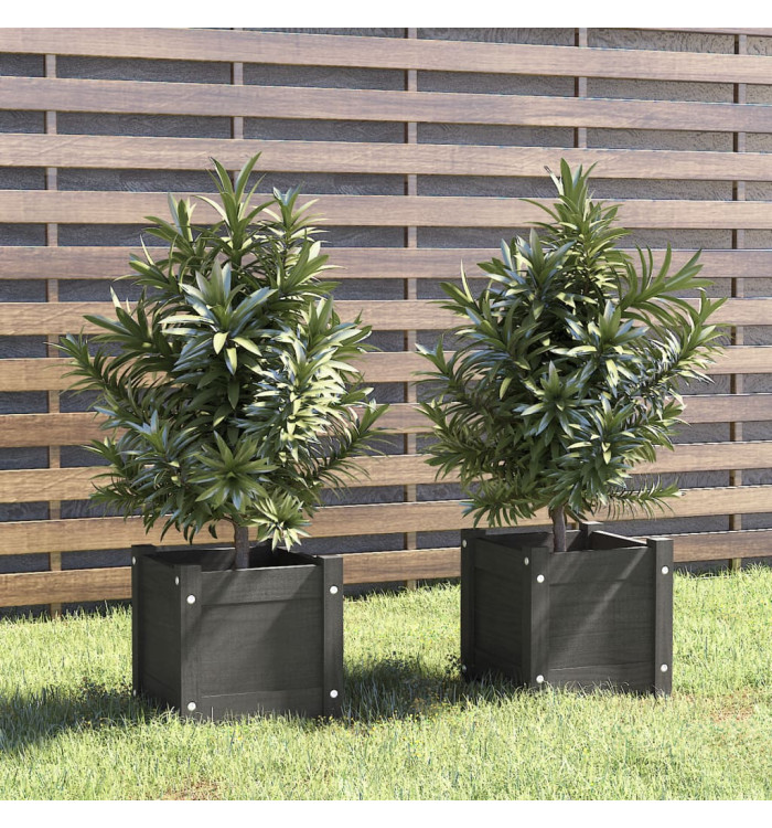 Jardinières d'extérieur 2 pcs Gris 31x31x31 cm Bois de pin | Mobilier & Déco