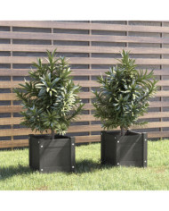 Jardinières d'extérieur 2 pcs Gris 31x31x31 cm Bois de pin | Mobilier & Déco