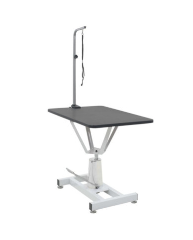 Table Toilettage Ajustable Hydraulique pour Chiens avec Pivot | Mobilier & Déco