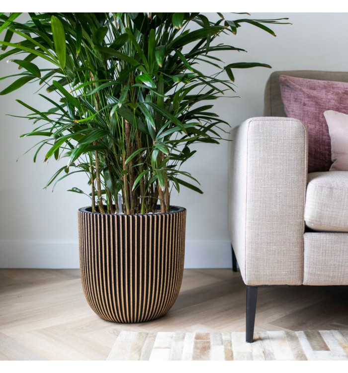 Capi Jardinière Groove 43x41 cm noir et doré | Mobilier & Déco