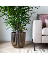 Capi Jardinière Groove 43x41 cm noir et doré | Mobilier & Déco